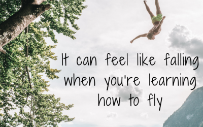 Learning Not Failing