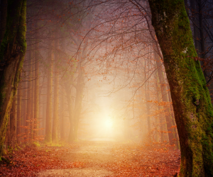 Doubt Doesn’t Have To Destroy You